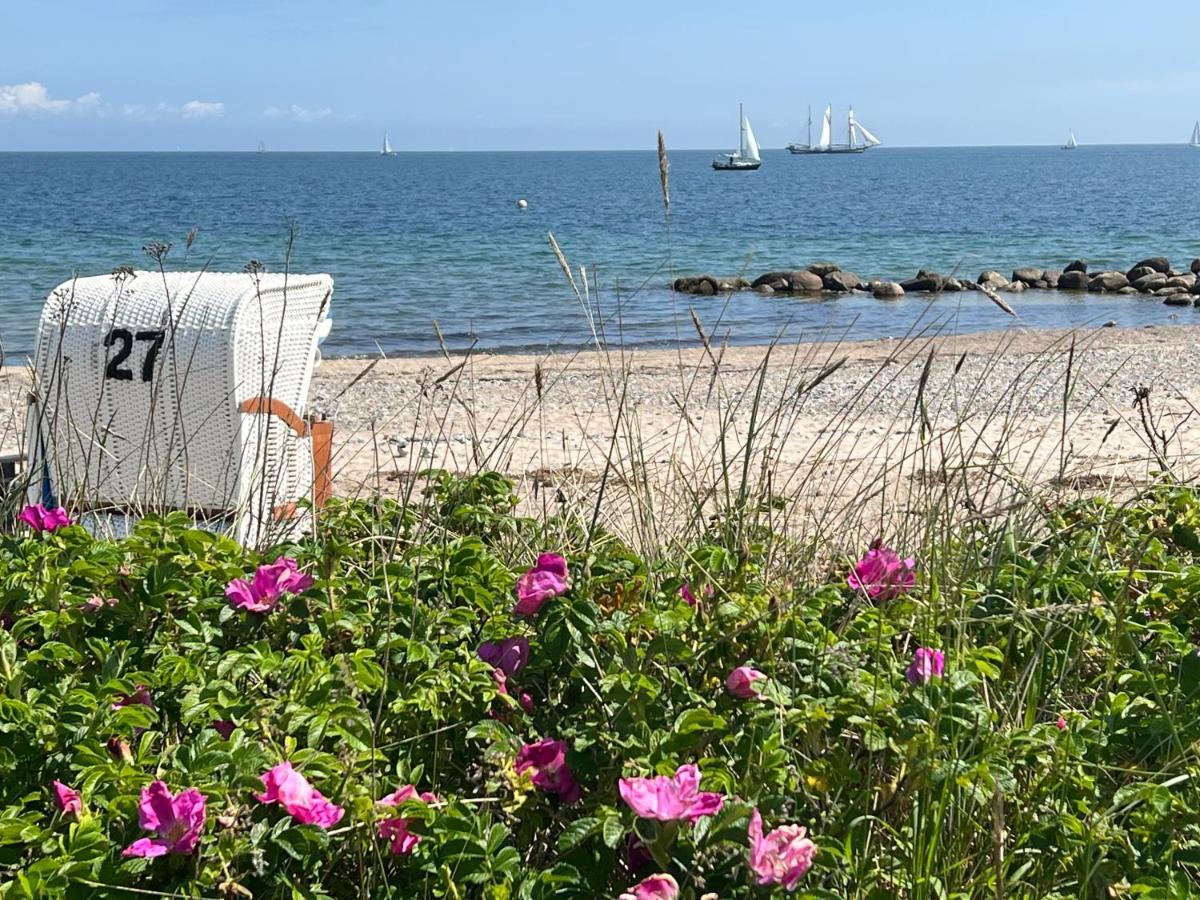 Seelund - Meeresrauschen Lauschen - Ruhiges Sonniges Apartment Mit Garten Und Terrasse Nahe Strand Und Ostsee Schönhagen Kültér fotó